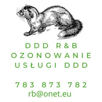 DDD R&B tel: 783873782 zwalczanie kun kuny domowej likwidacja pluskiew pluskwy domowej usuwanie gniazd os szerszeni ozonowanie kwasu masłowego hukinol opróżnianie mieszkań po wyprowadzce woj. dolnośląskie najtaniej najwyższa jakość kompleksowo na fv p