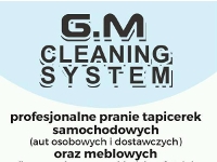 profesjonalne czyszczenie tapicerki meblowej mycie elewacji mycie kostki brukowej Oborniki okolice najtaniej wolne terminy 2018 2019
