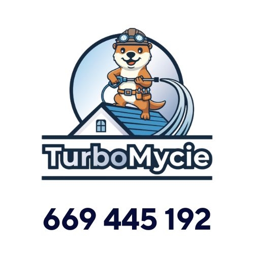 specjalistyczne czyszczenie mycie kostki brukowej elewacji dachów usuwanie plam olejowych Warszawa okolice piaseczno konstancin śródmieście na fv dla firm profesjonalne szybka realizacja od zaraz usuwanie graffiti impregnacja powierzchni